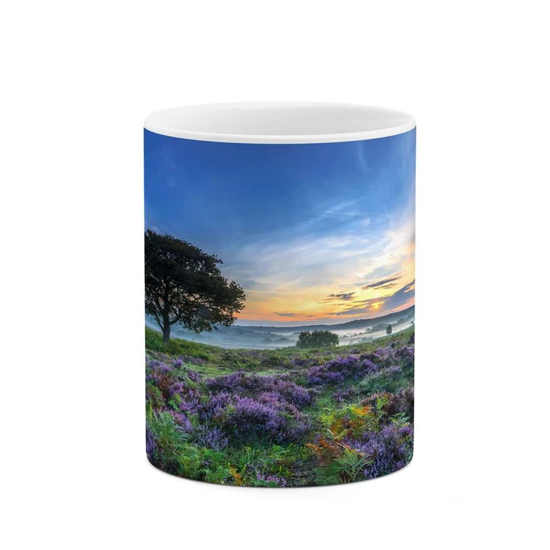 ماگ کاکتی مدل منظره کد mgh13154