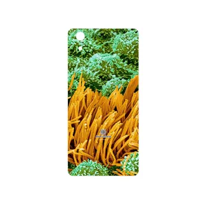 MAHOOT Atom Universe 6 Cover Sticker for GLX Maad