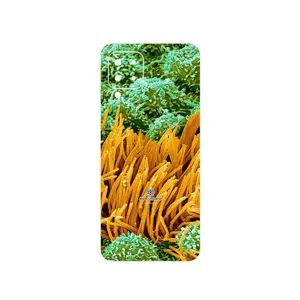 MAHOOT Atom Universe 6 Cover Sticker for Samsung Galaxy M22