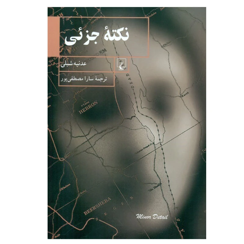کتاب نکته جزئی اثر عدنیه شبلی نشر ققنوس