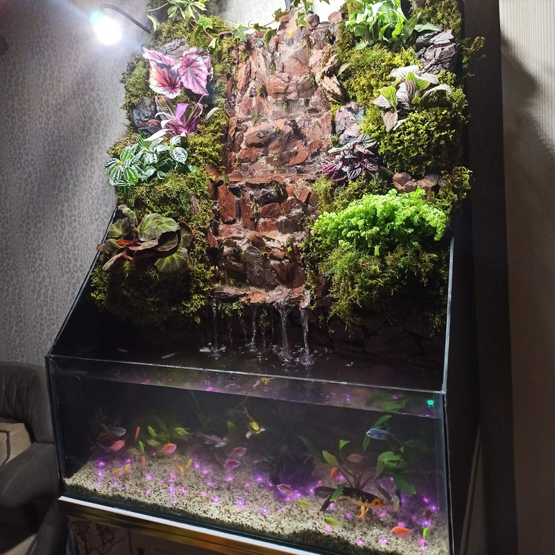 گیاه طبیعی پالوداریوم مدل صخره ای