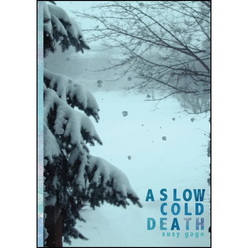 کتاب A Slow Cold Death اثر Susy Gage انتشارات Bitingduck Press