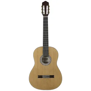 گیتار کلاسیک استگ مدل C548-N