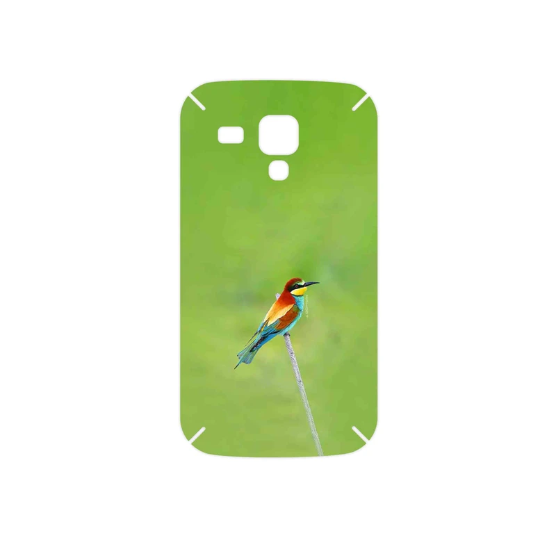 برچسب پوششی ماهوت مدل European bee-eater مناسب برای گوشی موبایل سامسونگ Galaxy S Duos GT S7562