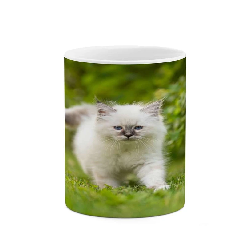 ماگ کاکتی مدل گربه کد mgh16417