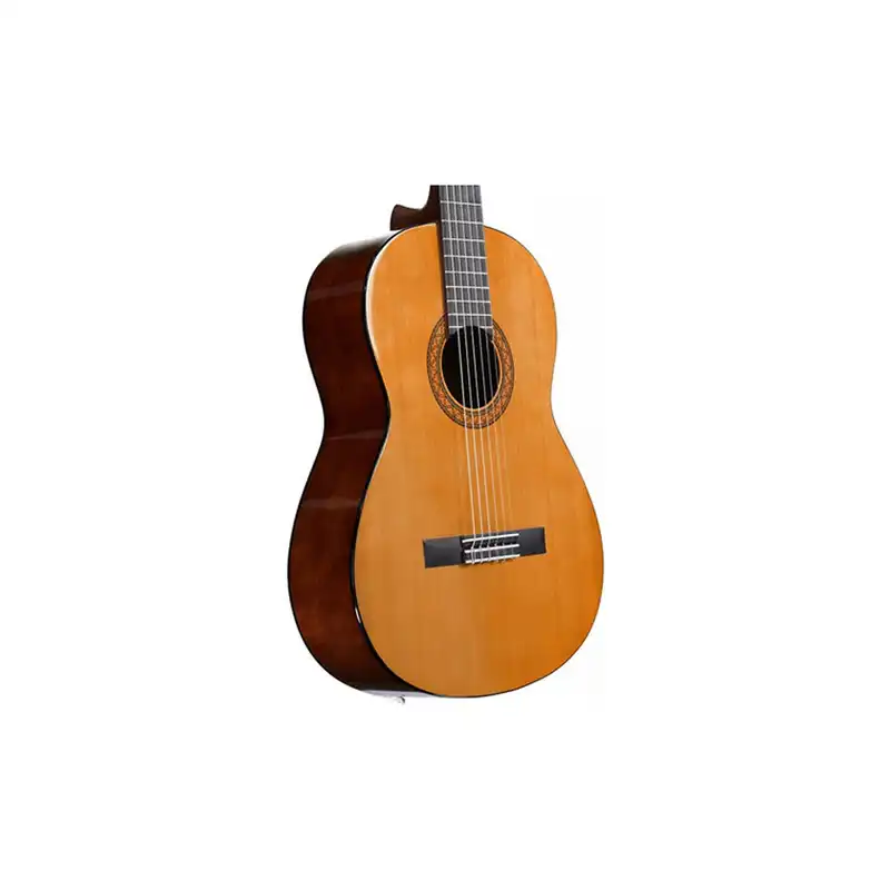 گیتار کلاسیک مدل C40-Professional