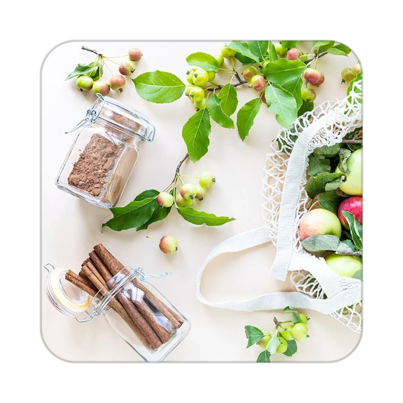 زیر لیوانی کاکتی طرح میوه مدل mp20750