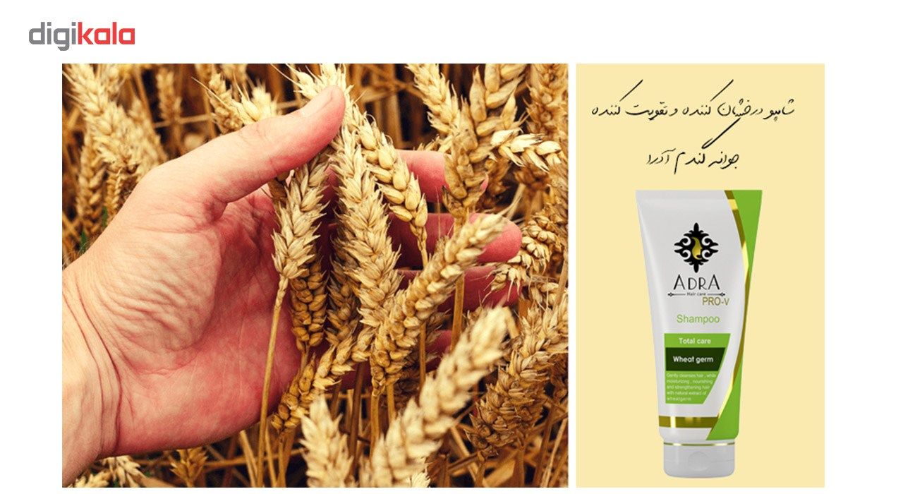 شامپو پروتئینه جوانه گندم آدرا مناسب انواع مو مدل wheat germ حجم 200 میلی لیتر -  - 2