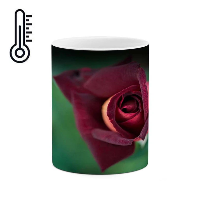 ماگ حرارتی کاکتی مدل گل کد mgh16135