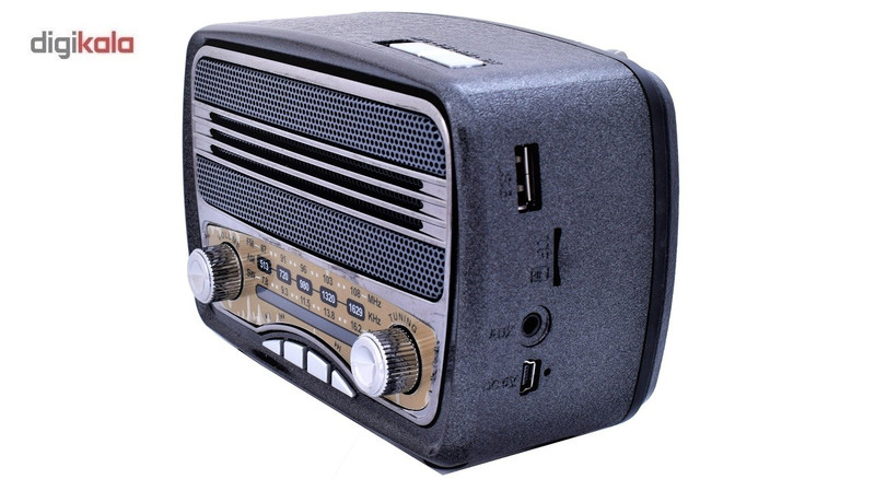 رادیو مییر مدل M-165BT