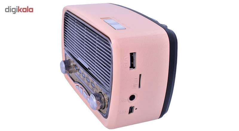 رادیو مییر مدل M-165BT