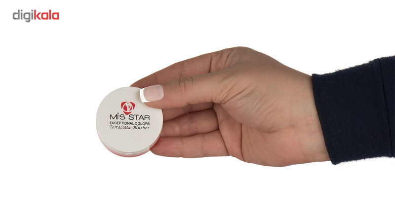 رژ گونه تراکوتا میستار مدل MTS06 شماره 6 رژ گونه تراکوتا میستار مدل MTS06 شماره 6