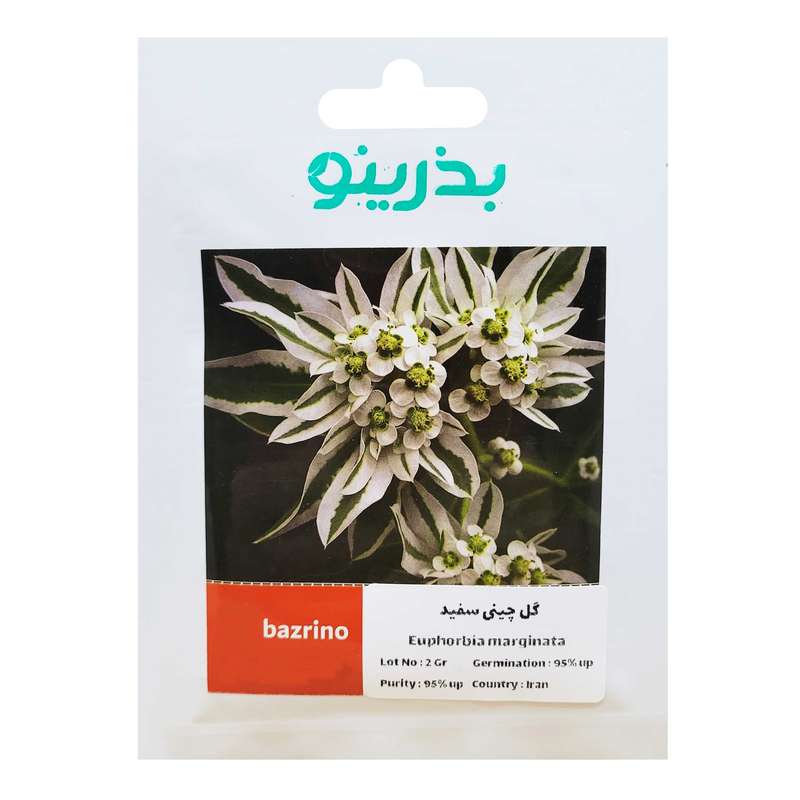 بذر گل چینی سفید بذرینو کد BZ-055