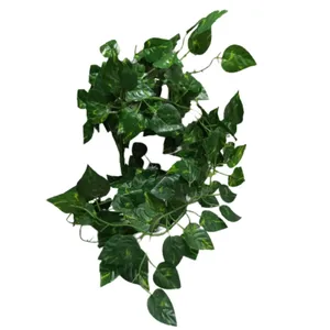 گل مصنوعی مدل آویز برگ پتوس کد PAL.5550