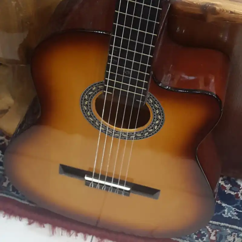 گیتار مدل pmax ava کد 890