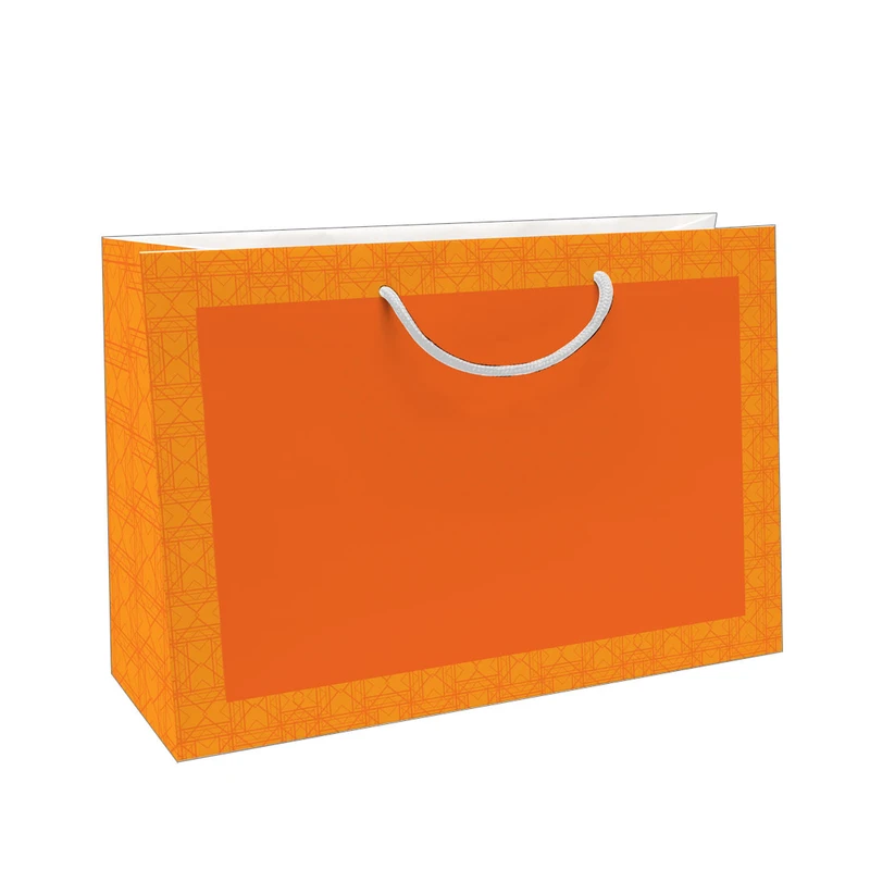 ساک دستی کد 10422 بسته 12 عددی