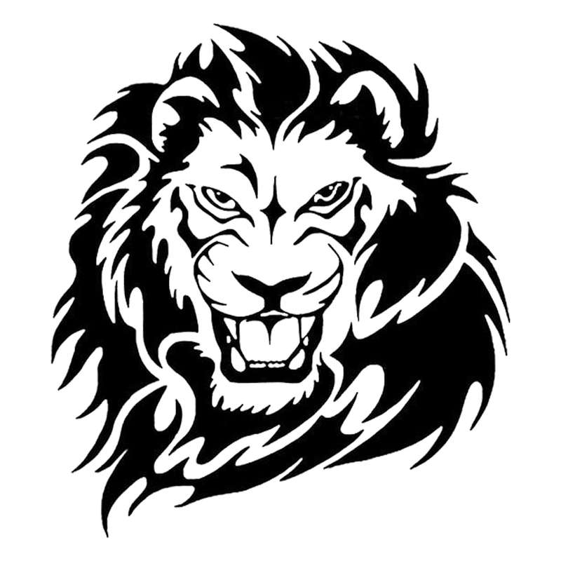 برچسب بدنه خودرو شیپرس طرح شیر کد Ss002