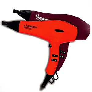 سشوار حرفه ای پرینسلی مدل PR241