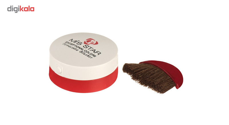 رژ گونه تراکوتا میستار مدل MTS03 شماره 3