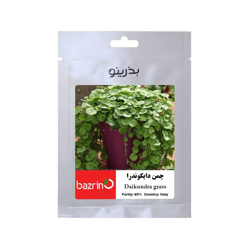 بذر چمن دایکوندرا بذرینو کد NO-139