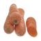 هویج ارگانیک رضوانی - 1 کیلوگرم