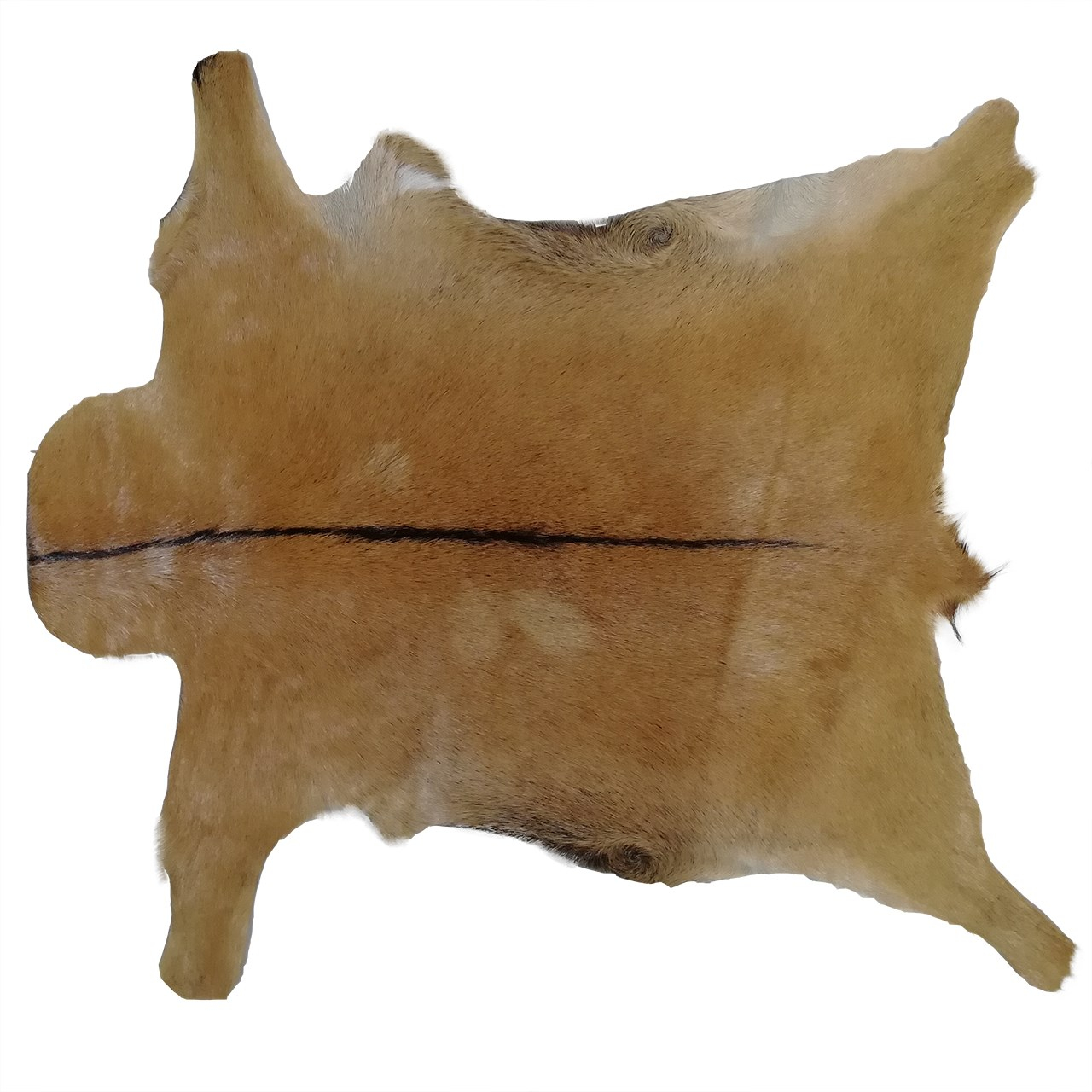 فرش پوست طبیعی کمالی مدل AC-00145