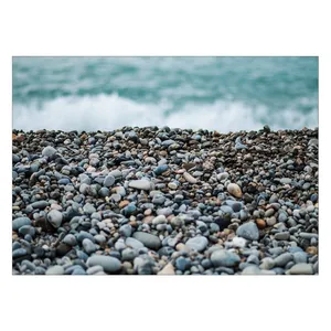 Wensoni Gravels on Beach Chassis 40 x 30