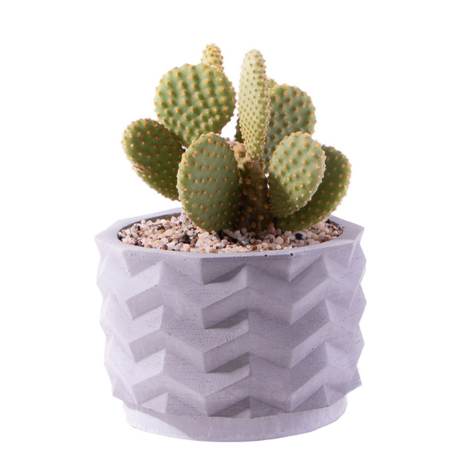 گیاه طبیعی کاکتوس خرگوشی اپونتیا مدل K-10