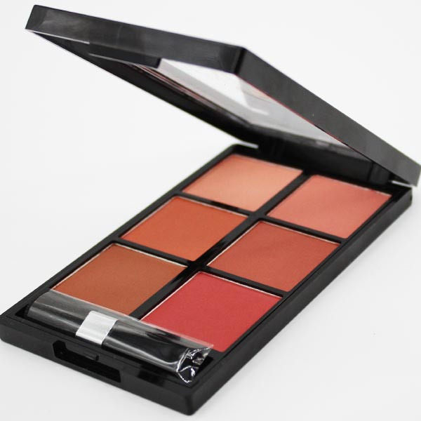 پالت رژ گونه رمانتیک برد مدل 6B V-Face Beauty Looks C