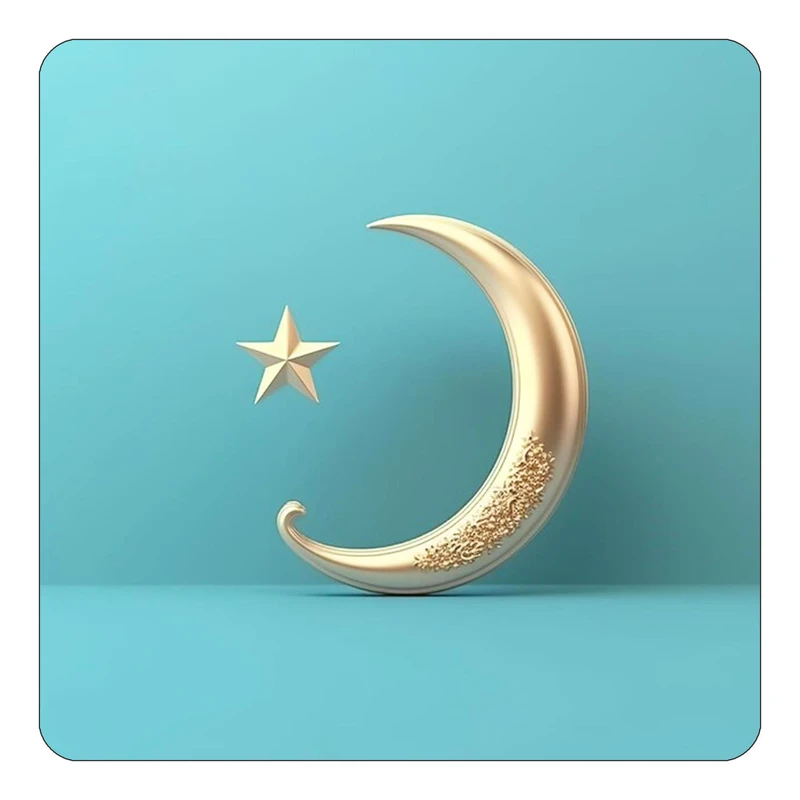 مگنت کاکتی طرح ماه و ستاره مدل mp53016