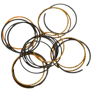 رینگ موتور ریک مدل STD مناسب برای تیبا بسته 20 عددی