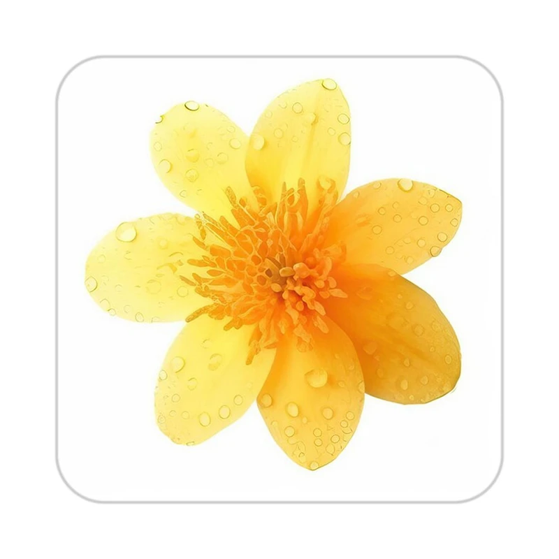 زیر لیوانی کاکتی طرح گل مدل mp17548