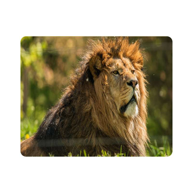 ماوس پد اطلس آبی  طرح شیر  مدل T7804