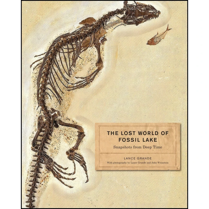 کتاب The Lost World of Fossil Lake اثر Lance Grande انتشارات University of Chicago Press
