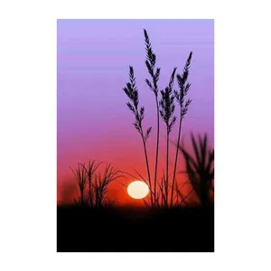 کارت پستال رادکس طرح غروب خورشید مدل S681