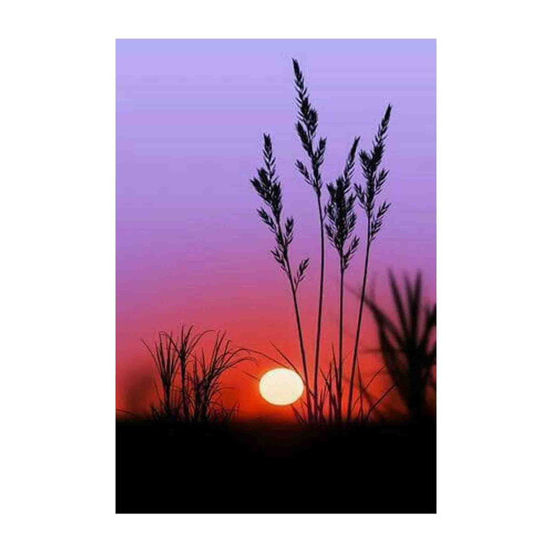 کارت پستال رادکس طرح غروب خورشید مدل S681