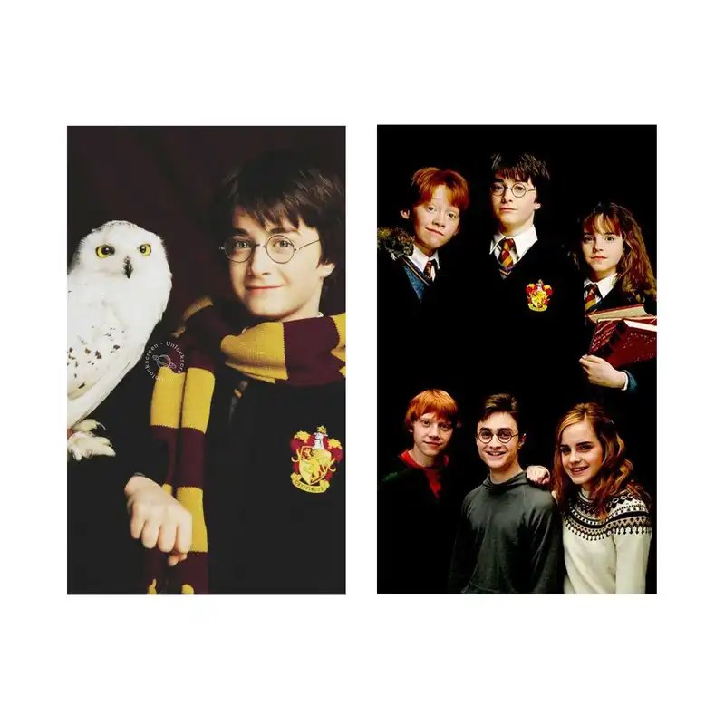 پوستر مدل هری پاتر کد p50 مجموعه 2 عددی