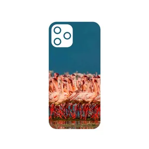 MAHOOT Flamingo Cover Sticker for Apple iPhone 12 Pro