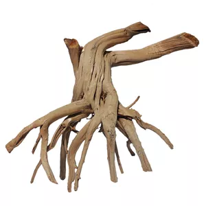 تنه درخت تزیینی مدل ریشه آبنوس کد RB101