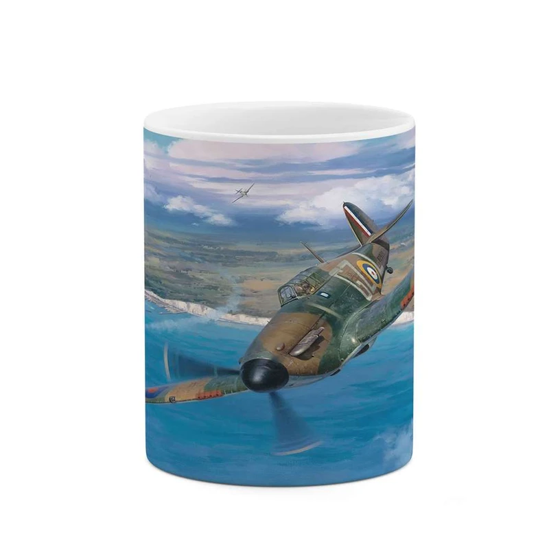 ماگ کاکتی مدل هواپیمای جنگنده کد mgh10676