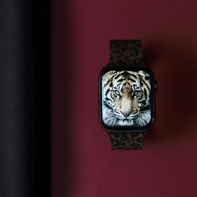 ساعت هوشمند مدل GC Tiger