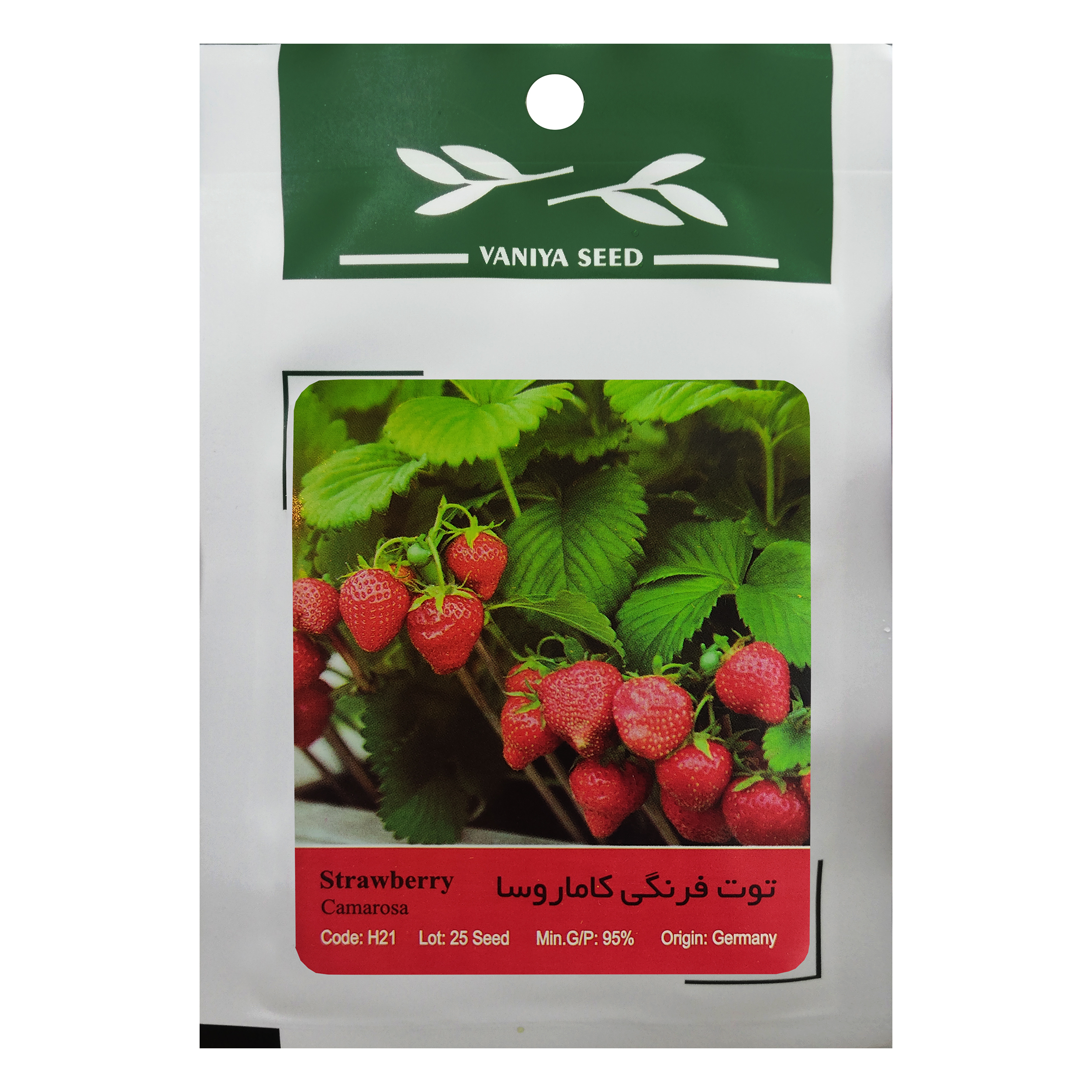 بذر توت فرنگی کاماروسا وانیا سید مدل H21
