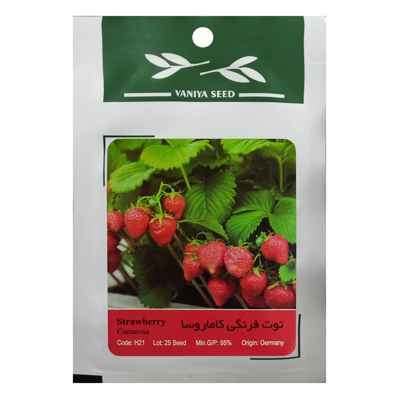 بذر توت فرنگی کاماروسا وانیا سید مدل H21 بذر توت فرنگی کاماروسا وانیا سید مدل H21