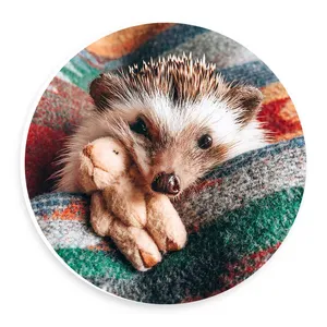  دیوارکوب طرح خارپشت و عروسک مدل wtb569