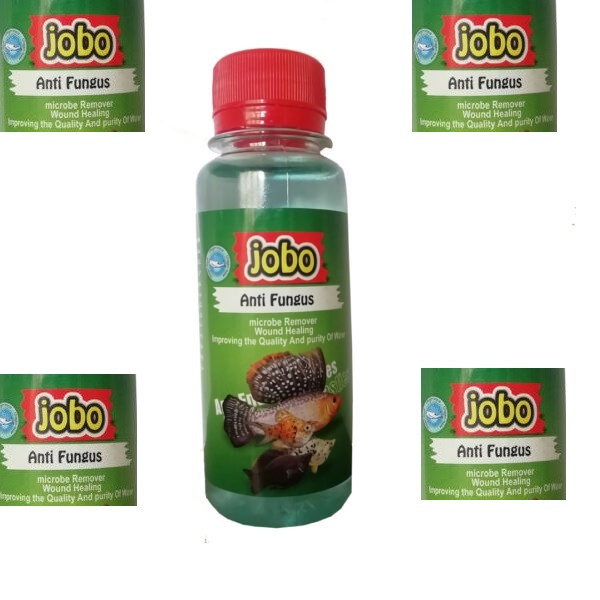قیمت و خرید محلول ضد قارچ آبزیان جوبو مدل Anti Fungus حجم 120 میلی لیتر