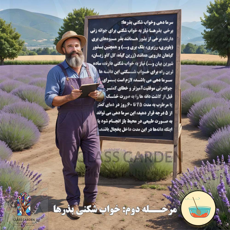 بذر میوه بلوبری پاکوتاه گلدانی گلس گاردن مدل GL10 بذر میوه بلوبری پاکوتاه گلدانی گلس گاردن مدل GL10