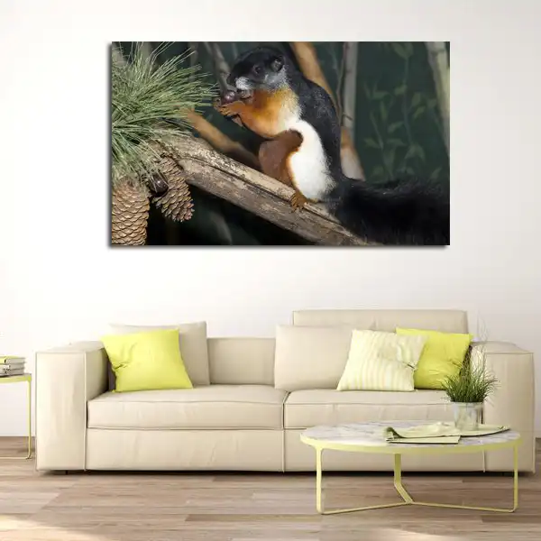 تابلو شاسی مدل سنجاب کد 12