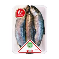 ماهی قزل آلا شکم خالی تازه مهیا پروتئین - 1 کیلوگرم