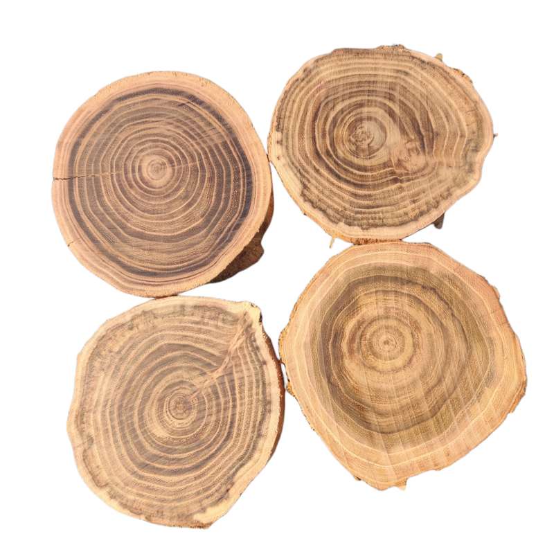 اسلایس چوبی مدل تنه درخت هفت سین بسته 4عددی