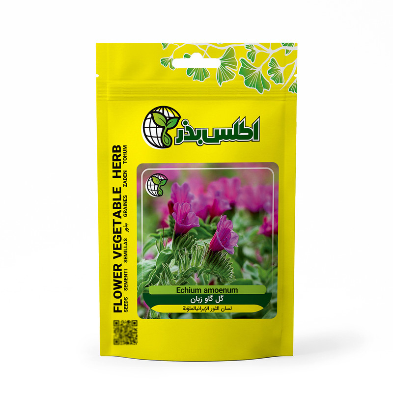 بذر گل گاوزبان اطلس بذر کد A13 وزن ۱.۵ گرم